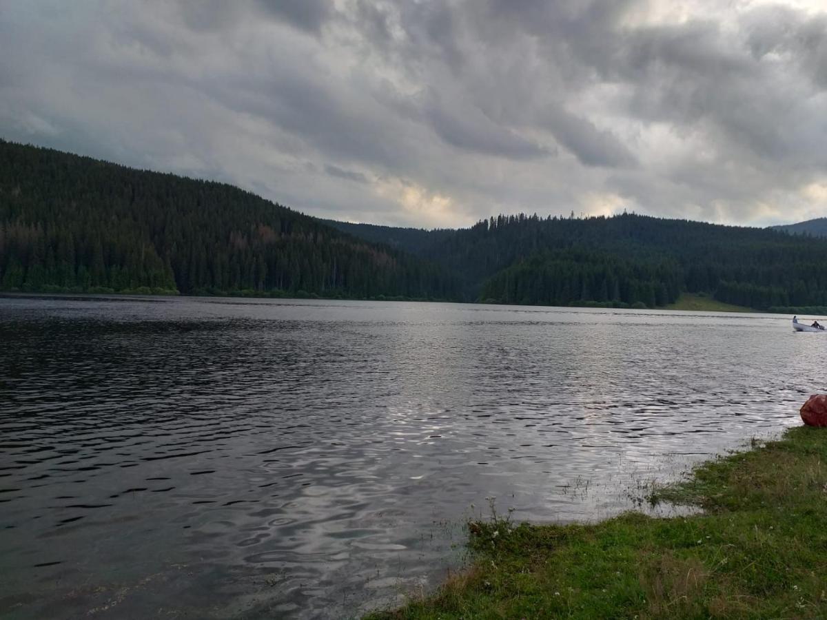 Pensiunea Floare De Colt Beliş Eksteriør bilde